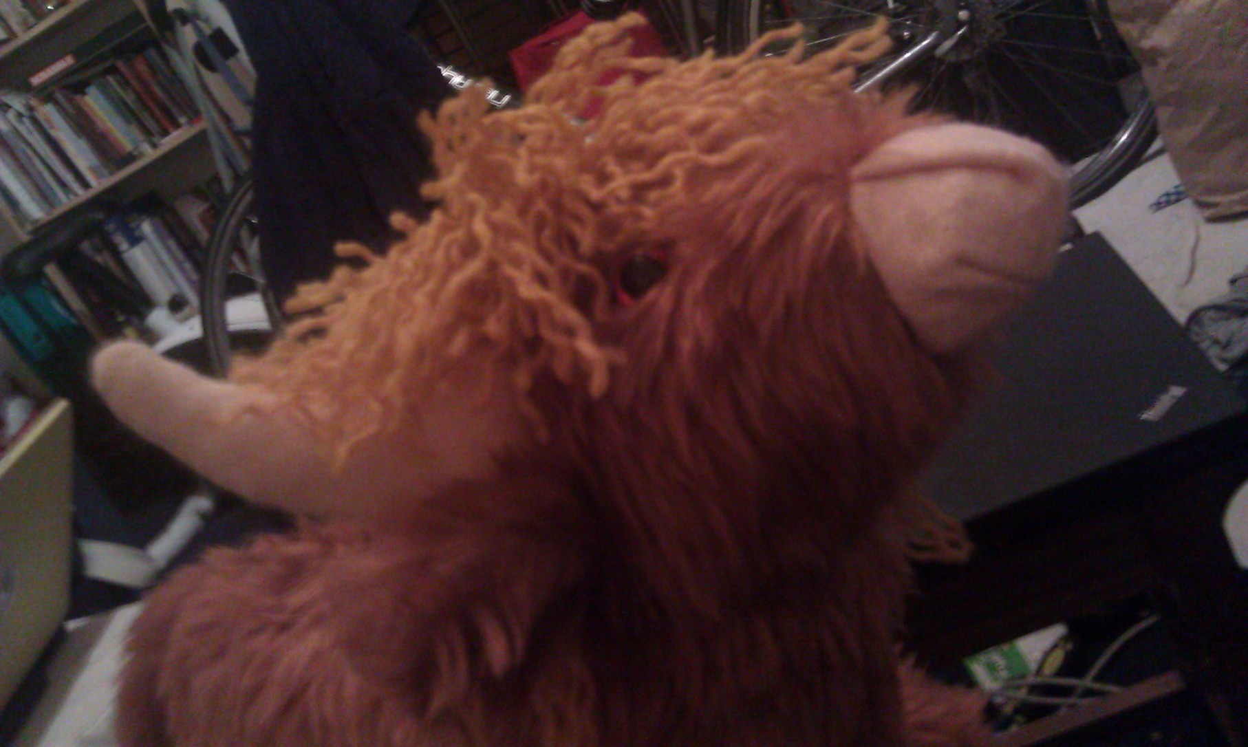 Sparky