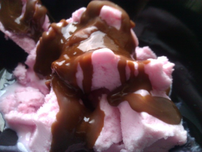 Chocolate sauce on frozen yoghurt Chocolate sauce on frozen yoghurt